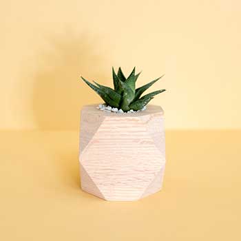 虚拟商品代购的DDOS在线攻击平台